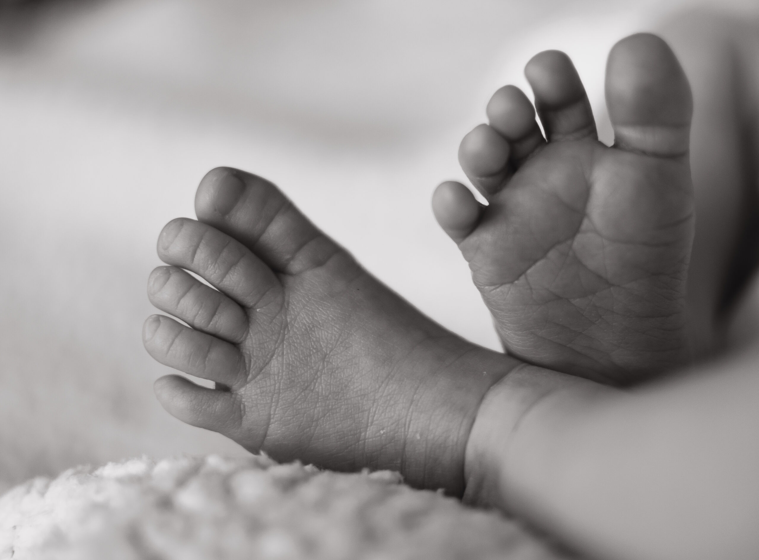 newborn photoshoot west sussex