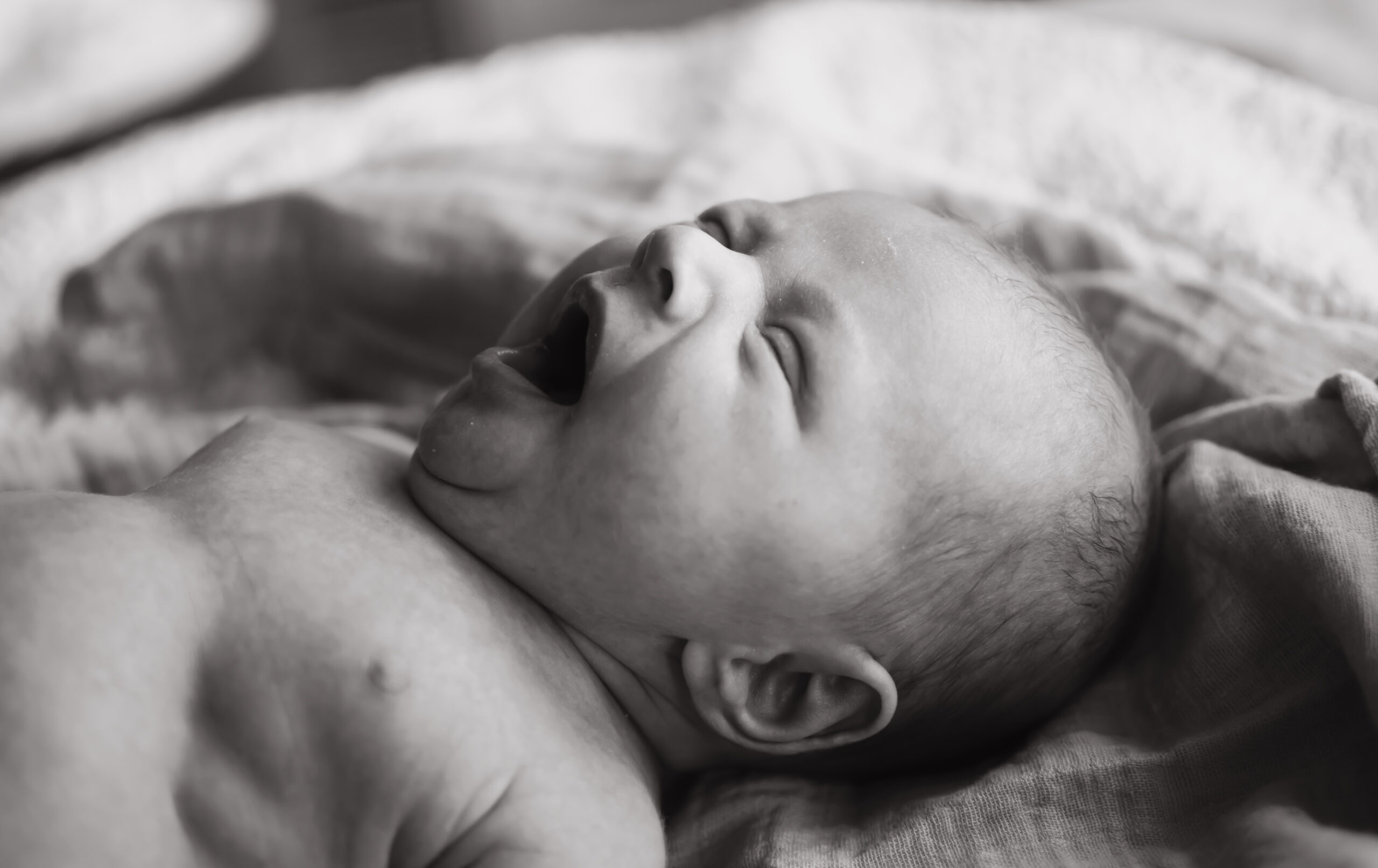 newborn photo